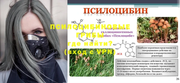 крисы Баксан