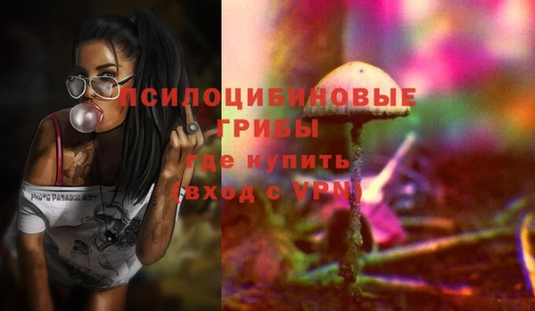 крисы Баксан